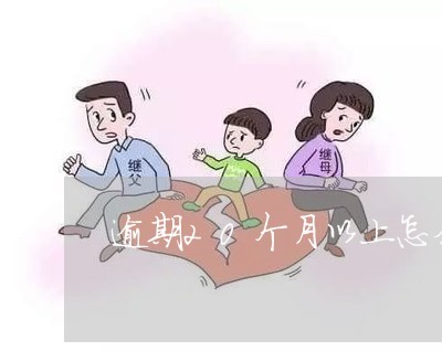 逾期20个月以上怎么办