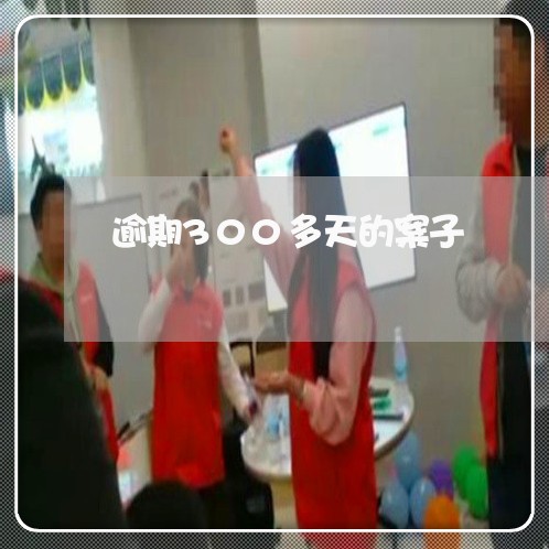 逾期300多天的案子 逾期300多天的案子