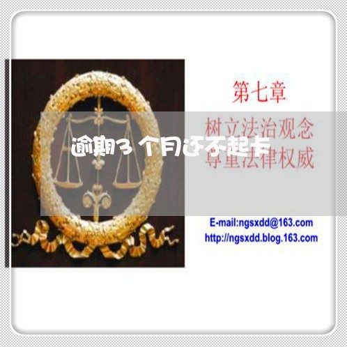 逾期3个月还不起卡