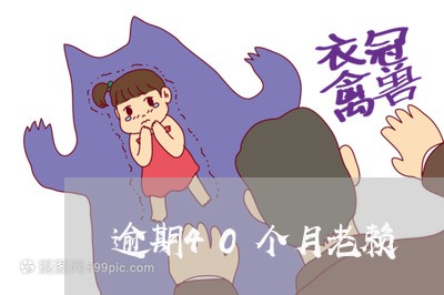 逾期40个月老赖