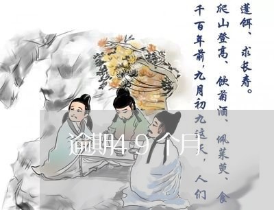 逾期49个月 逾期49个月