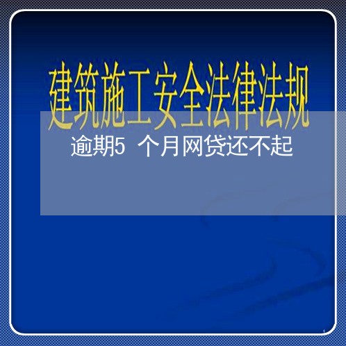 逾期5个月网贷还不起/2023120528350