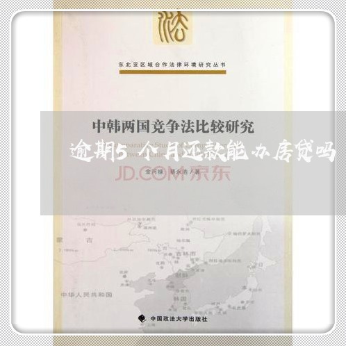 逾期5个月还款能办房贷吗