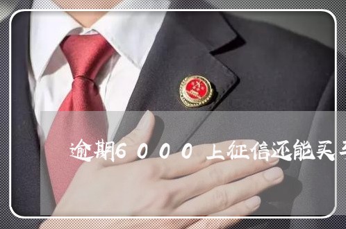 逾期6000上征信还能买车吗 逾期6000上征信还能买车吗