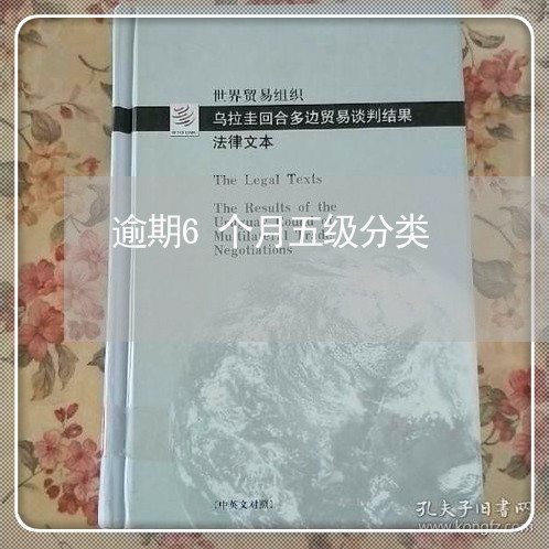 逾期6个月五级分类