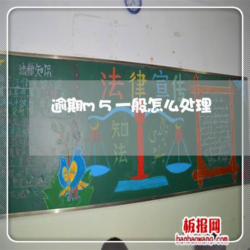 逾期m5一般怎么处理