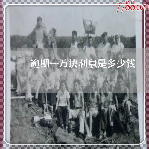 逾期一万块利息是多少钱 逾期一万块利息是多少钱