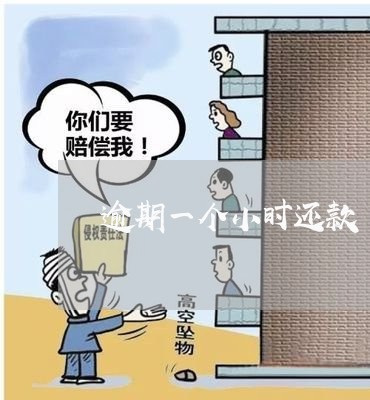 逾期一个小时还款