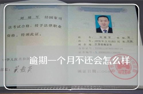 逾期一个月不还会怎么样 逾期一个月不还会怎么样