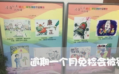 逾期一个月免检会被罚多少 逾期一个月免检会被罚多少