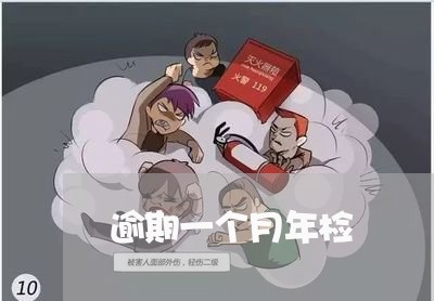 逾期一个月年检