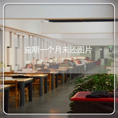 逾期一个月未还图片 逾期一个月未还图片