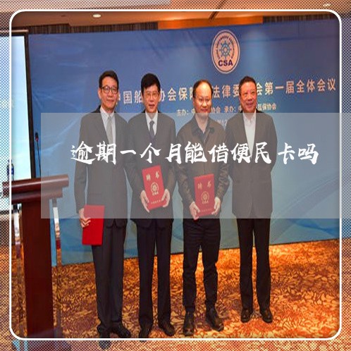 逾期一个月能借便民卡吗