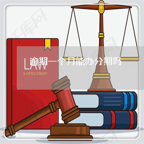逾期一个月能办分期吗