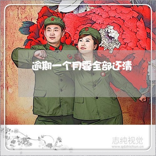 逾期一个月要全部还清