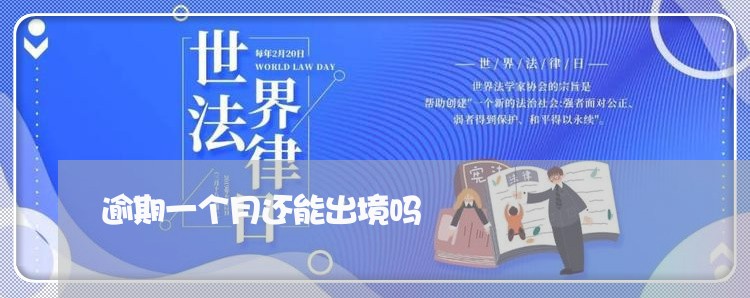 逾期一个月还能出境吗