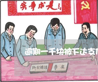 逾期一千块被下达支付令是真的吗 逾期一千块被下达支付令是真的吗