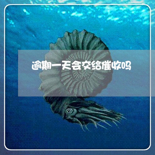 逾期一天会交给催收吗