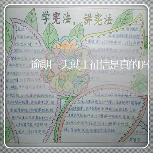 逾期一天就上征信是真的吗