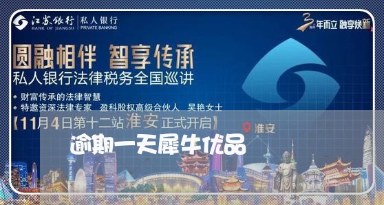 逾期一天犀牛优品