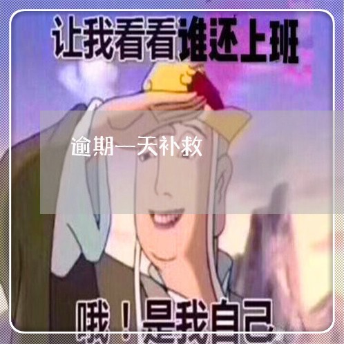 逾期一天补救 逾期一天补救