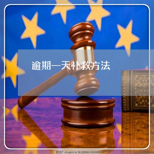 逾期一天补救方法 逾期一天补救方法