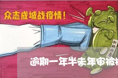 逾期一年半未年审被捉 逾期一年半未年审被捉