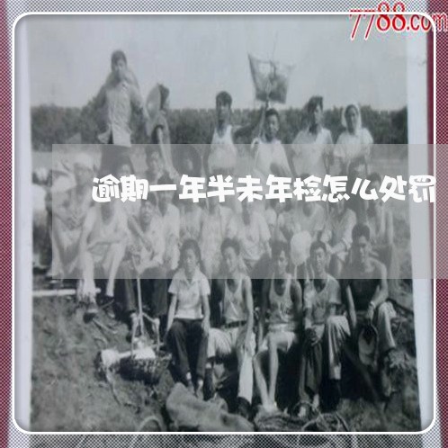 逾期一年半未年检怎么处罚 逾期一年半未年检怎么处罚