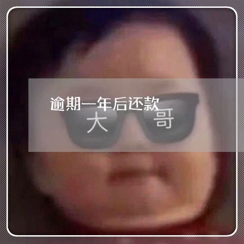 逾期一年后还款