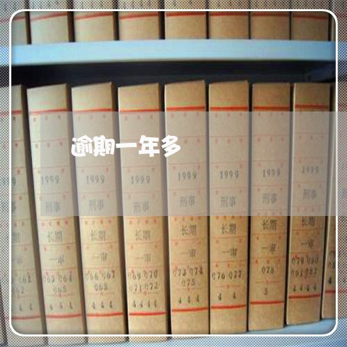 逾期一年多