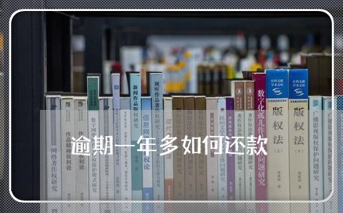 逾期一年多如何还款