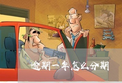 逾期一年怎么分期 逾期一年怎么分期