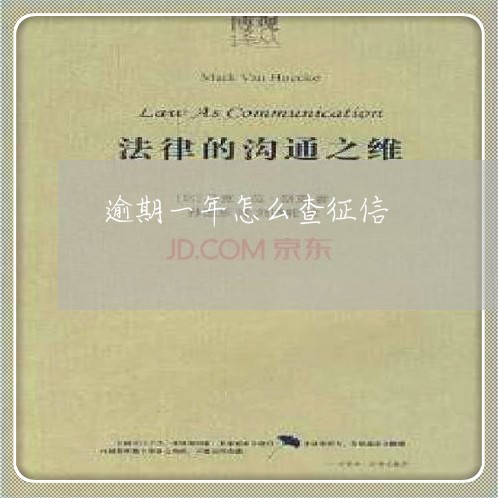 逾期一年怎么查征信