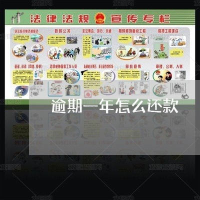 逾期一年怎么还款