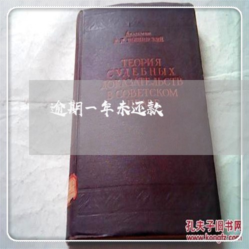 逾期一年未还款