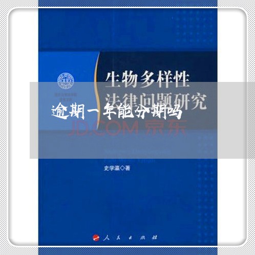 逾期一年能分期吗