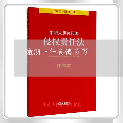 逾期一年负债百万 逾期一年负债百万