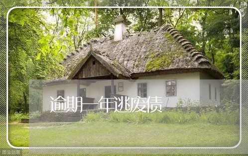 逾期一年逃废债 逾期一年逃废债