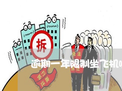逾期一年限制坐飞机嘛