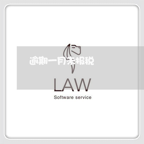 逾期一月未报税