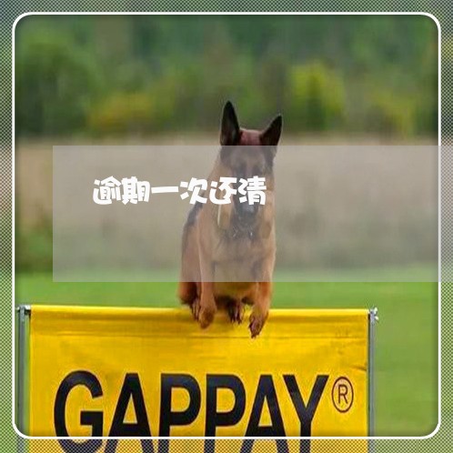 逾期一次还清 逾期一次还清