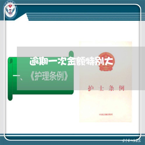 逾期一次金额特别大 逾期一次金额特别大