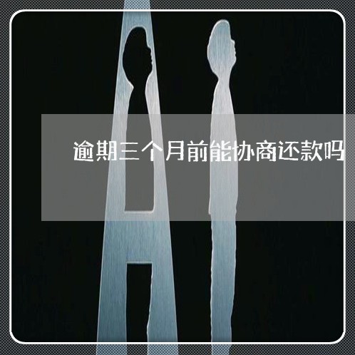逾期三个月前能协商还款吗/2023022891605