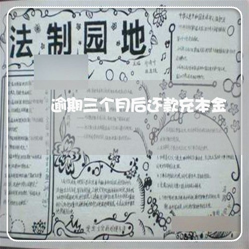 逾期三个月后还款充本金 逾期三个月后还款充本金
