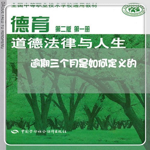 逾期三个月是如何定义的