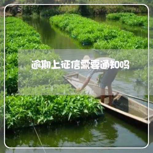 逾期上征信需要通知吗