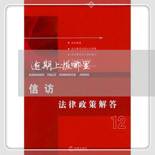 逾期上报哪里
