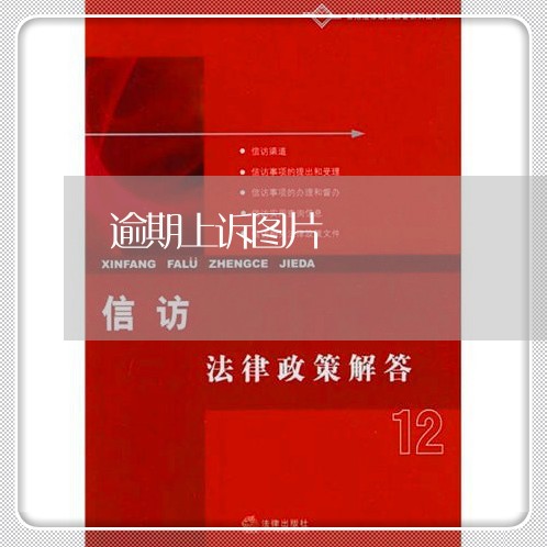 逾期上诉图片
