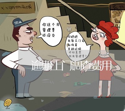逾期上门调查费用 逾期上门调查费用