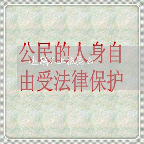 逾期不上报怎么